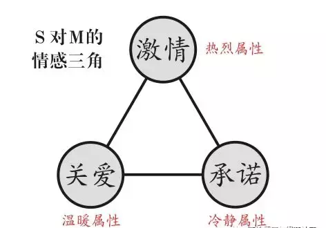 何处安放的5m感情?