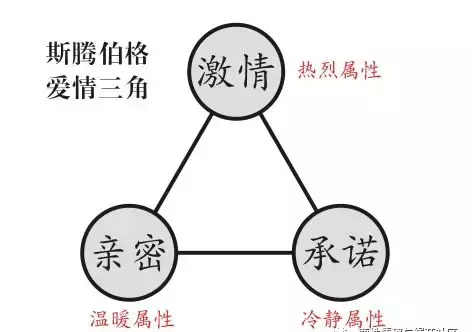 何处安放的5m感情?