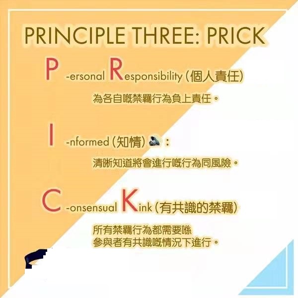 RACK原则与PRICK原则是什么意思?与SSC原则的区别是什么?