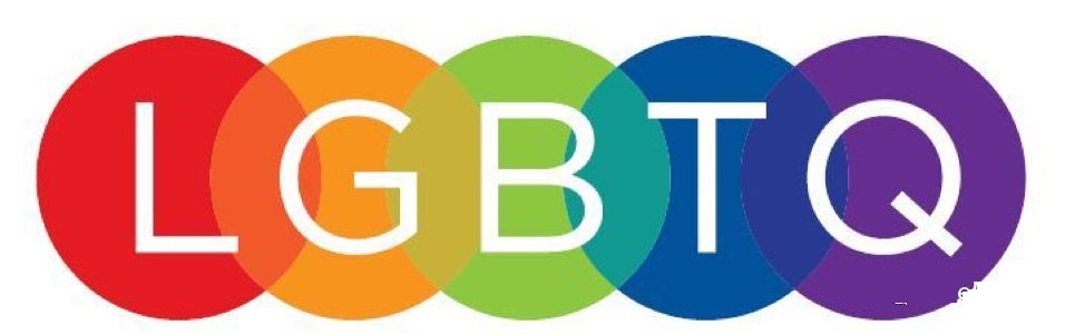 LGBTQ中的L,G,B,T,Q是代表什么意思?区别是什么