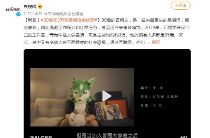 某兽圈(福瑞控|furry控)网红离世,小众圈子更有温度