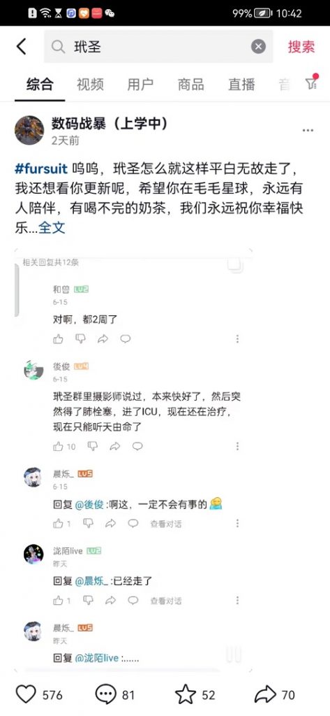 某兽圈(福瑞控|furry控)网红离世,小众圈子更有温度