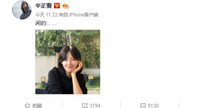 k8,k9 |猫系vs犬系,看看你到底是哪一系?