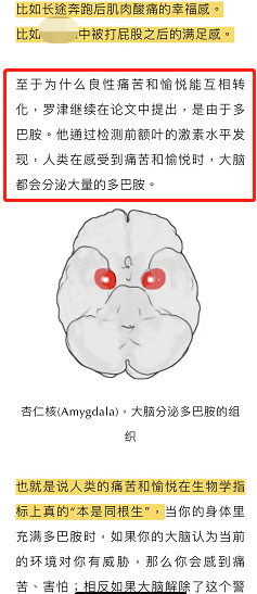 圈子里常说的多巴胺,内啡肽是什么意思?和aftercare又有什么联系?