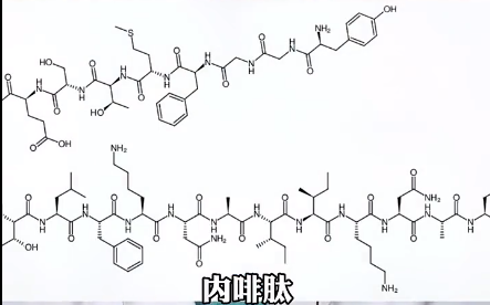 圈子里常说的多巴胺,内啡肽是什么意思?和aftercare又有什么联系?