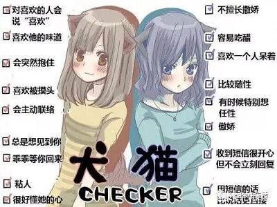 k8和k9?你喜欢猫系女生还是犬系女生?