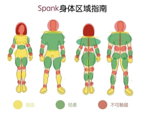 SP主贝新手指南,大圈小圈有区别