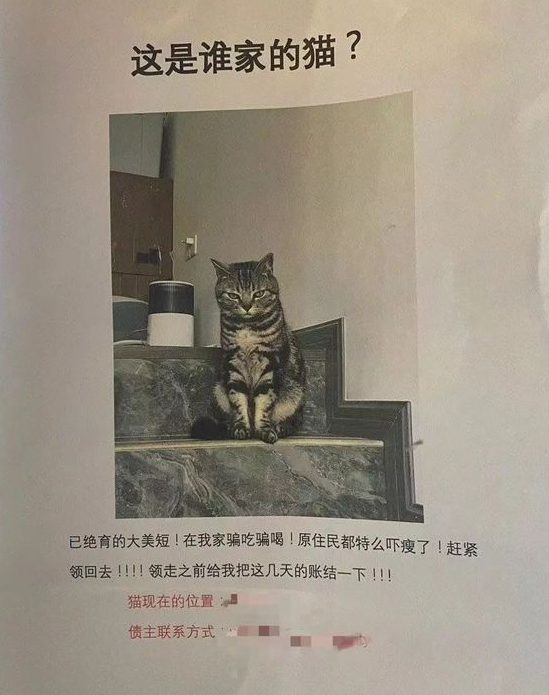 圈子图片and字母圈段子系列二:我是个sub/brat/k8/dom/