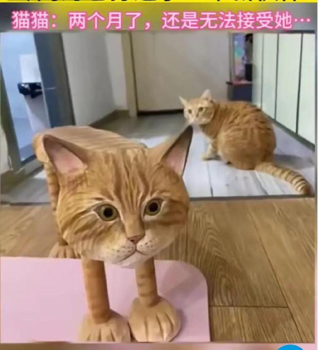 圈子图片and字母圈段子系列二:我是个sub/brat/k8/dom/